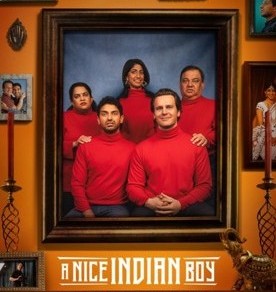 Film cover of 'A Nice Indian Boy'