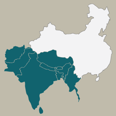 Insurgent South Asia: Frames and Praxis